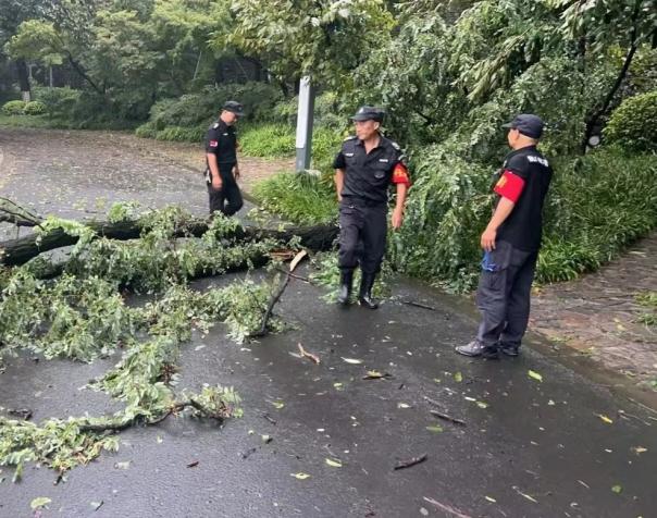 C:/Users/BA/Desktop/風雨過后南京保安迅速行動，恢復安“寧”面貌/7.jpg7
