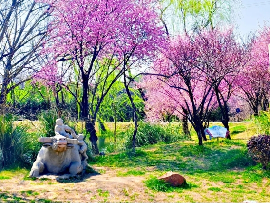 圖片 13