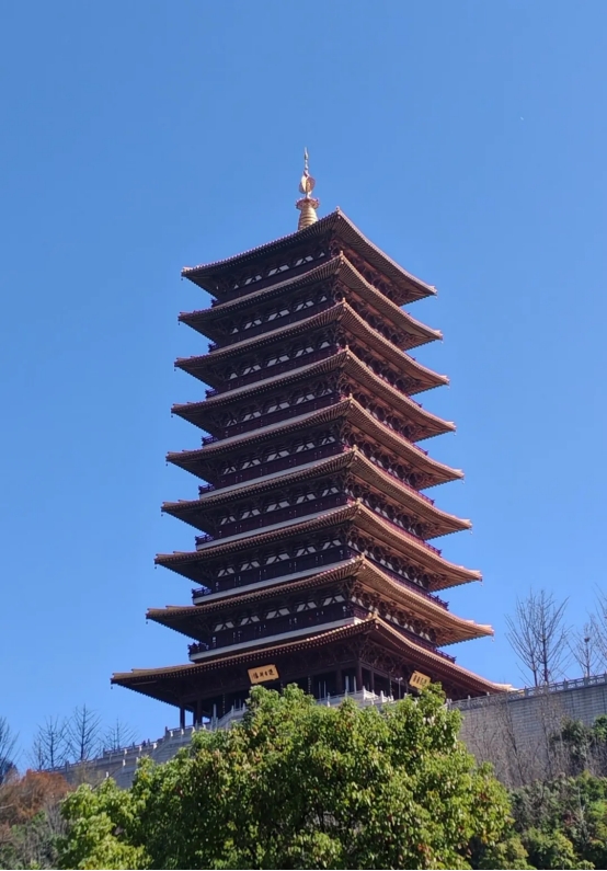 圖片 14